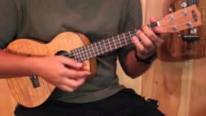 ukulele lessons in Smyrna, TN. ukulele instructor near me. Learn to play the bass. ukulele classes for kids and adults. Expert ukulele instructors. ukulele lessons near me. ukulele lessons for homeschool.